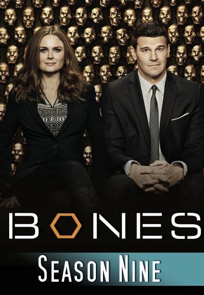 Bones Season 9 2013 On Core Movies