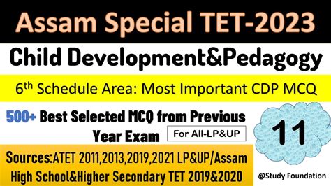Assam Special TET 2023 LP UP TET 6th Schedule Area TET CDP Class