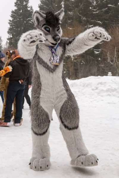 Furry Suit Furry Wolf Animal Costumes Furry Drawing Cosplay Anthro