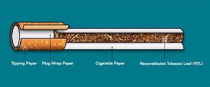 Cigarette Inside Paper Structure Smoking Effects Manufacture
