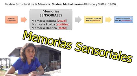 Memorias Sensoriales Psicología Uned Youtube