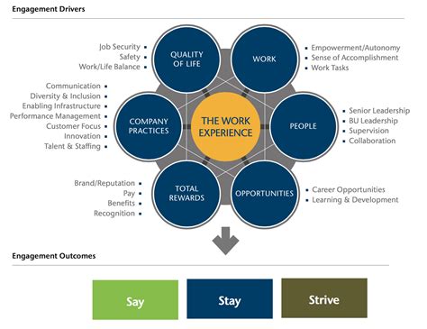 Model of Employee Engagement | Human Resources and Team Development
