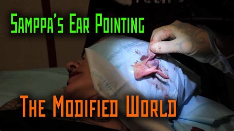 Body modification is any attempt to alter the human body away from its original form through deceptive. Samppa's Ear Pointing- THE MODIFIED WORLD - YouTube