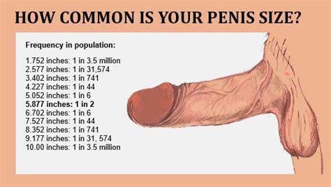 Average Dick Size Pictures Telegraph