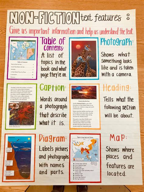 Non Fiction Text Features Anchor Chart Etsy