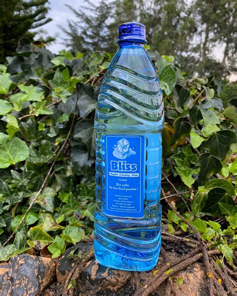Bliss Normal Bottled Water 1l Bliss Water