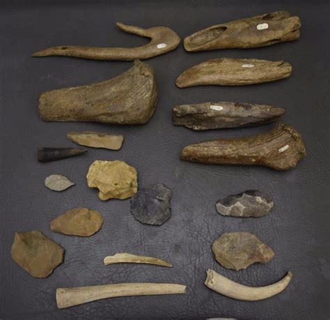Collection Of Stone And Antler Artifacts