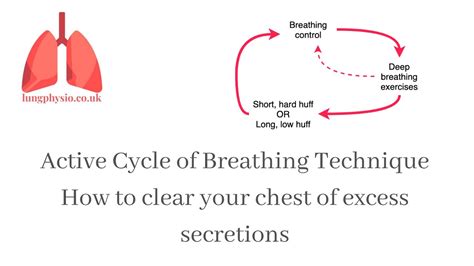Chest Clearance The Active Cycle Of Breathing Technique Acbt Chest
