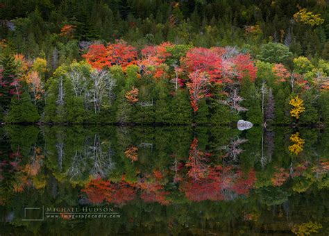 Serenity At Bubble Pond — Images Of Acadia Fine Art Photography