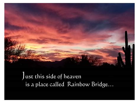 Rainbow Bridge Pet Sympathy Loss of Pet Wishing Star Company Sympathy