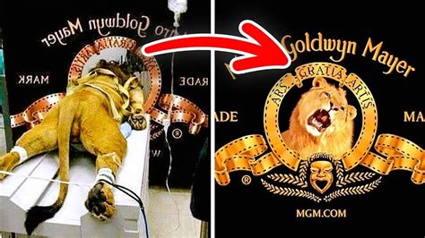 10 Secretos Escondidos En Logos Famosos Que Nunca Te Hubieras Imaginado