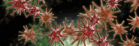 Herpes Zoster Ophthalmicus