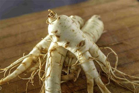 Identifying the Age of an American Ginseng Plant