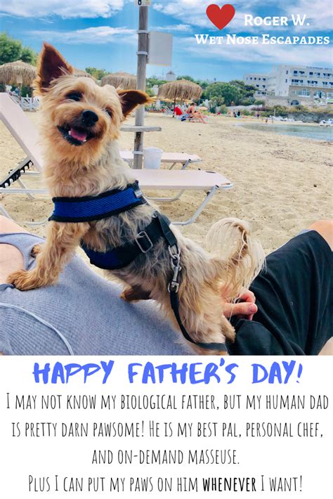 Happy Fathers Day In 2020 Silly Dog Pictures Dog Care Dog Travel