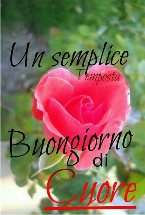Buongiorno a chi, anche se le cose non vanno come dovrebbero, non smette mai di metterci il cuore. Pin di LuzMa su dibujos | Buongiorno fiori, Buongiorno ...
