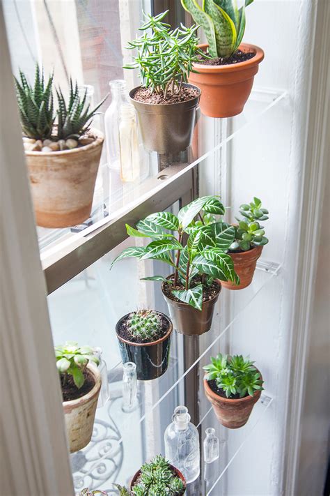 Diy Floating Window Shelves Designsponge Indoor Gardening Diy