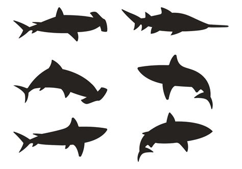 Shark Silhouette Vectors | Shark silhouette, Fish silhouette, Silhouette vector