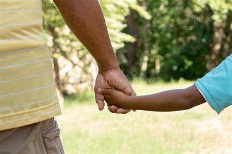 14024 Father Son Holding Hands Stock Photos Free And Royalty Free