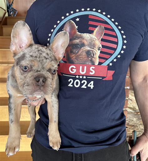 Promoting Others - New T-shirt Designs | Greg Gutfeld