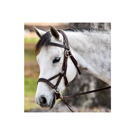 Two Horse Tacks Sidepull Bitless Bridle For Horses