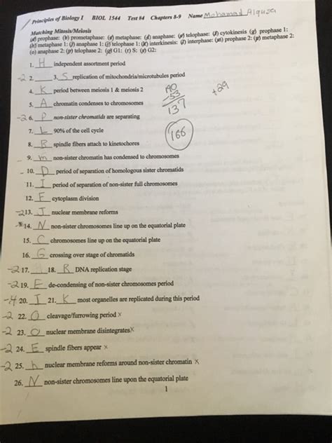 Meiosis is divided into two parts: Meiosis Gizmo Answer Key - The uppercase alleles are ...