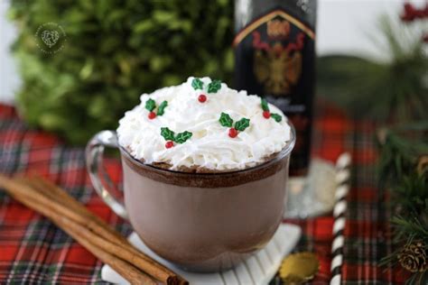 Spiked Peppermint Hot Chocolate