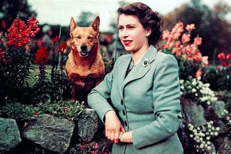 Queen Elizabeths Bond With Corgis Immortalized In New Statue Photos