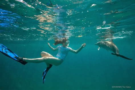 Retro Bikini Miranda Cosgrove Flaunts A Blue Bikini As She Dives With Dolphins In The Bahamas