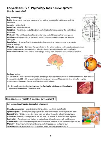 Edexcel 9 1 Gcse Psychology Topic 1 Revision Guide Teaching Resources