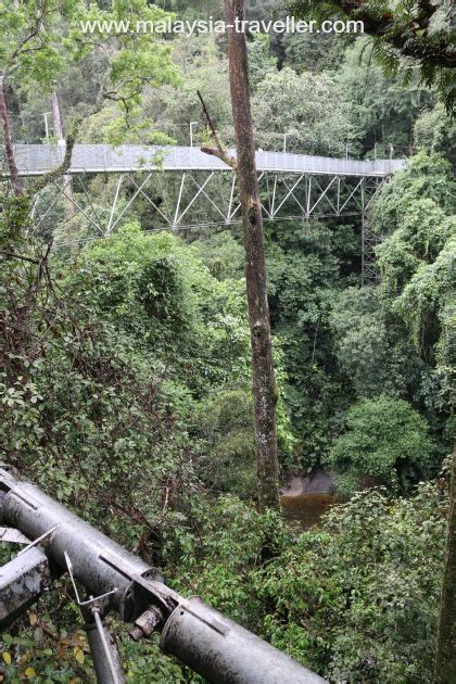 Ianya terletak di kawasan hutan lipur sungai sedim dan hanya 30km daripada bandar kulim.laluan kanopi sedim mempunyai ketinggian sehingga 34450 mm dari aras tanah. Tree Top Walk Sungai Sedim, Kulim, Kedah