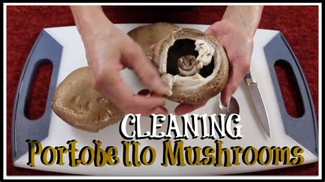 There may be times when a paper towel won't be enough to clear away every last trace of dirt. How to clean Portobello Mushrooms - YouTube