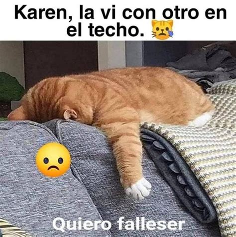 Memes De Karen Y Su Gato Segunda Parte Memes En Español La Mejor
