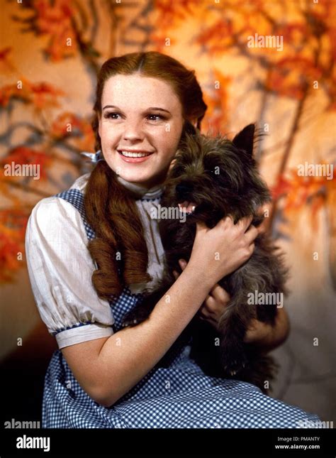 Studio Publicity Still The Wizard Of Oz Judy Garland MGM File Reference THA