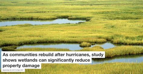 Coastal Wetlands Reduce Property Damage Due To Hurricanes