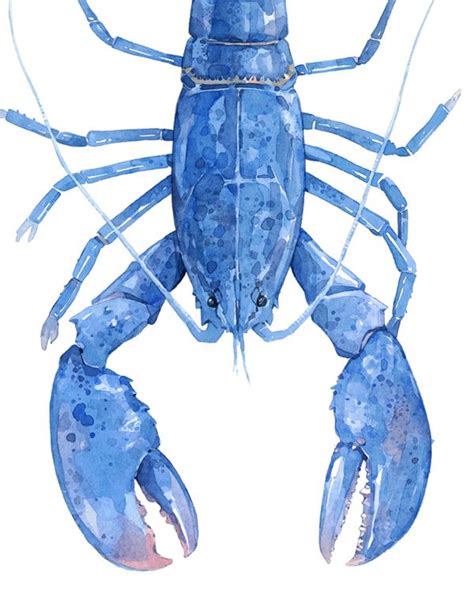 Https://tommynaija.com/paint Color/blue Lobster Paint Color
