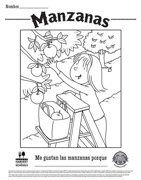 Spanish Coloring Pages Thekidsworksheet