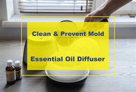 How To Prevent And Clean Mold In A Diffuser