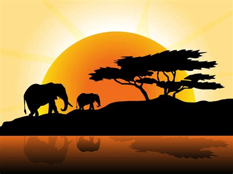 African Sunset Vector Art And Graphics