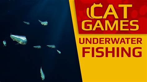 Cat Games Underwater Fishing Videos For Cats To Watch 1 Hour Youtube