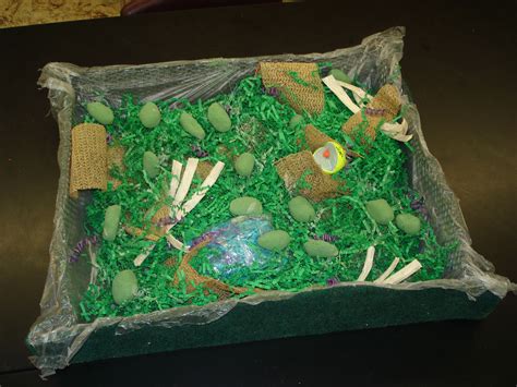 Maybe you would like to learn more about one of these? Plant cell, made from basket, the cytoplasm is Easter ...