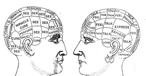 Male Brain Female Brain Psychology Today