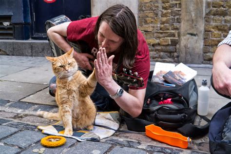 英國流浪漢詹姆斯與一隻流浪貓鮑勃的故事