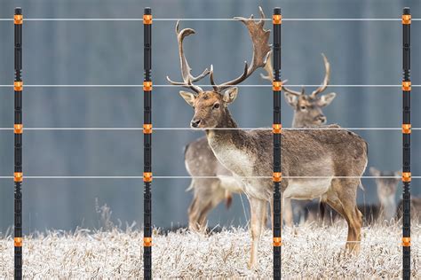 Electric Fence For Deer Gallagher
