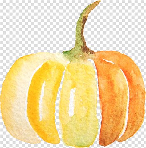 Thanksgiving clipart watercolor pumpkin watercolor hedgehog clipart, autumn clipart, fall diy clip art, autumn leaves, png files, halloween high quality images, 300 dpi,.png with transparent. Yellow and green pumpkin , Pumpkin Spice Latte Calabaza ...