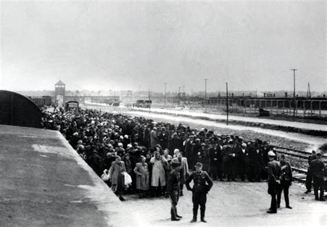 75 Years After Auschwitz Liberation Worry That ‘never Again’ Is Not Assured The New York Times