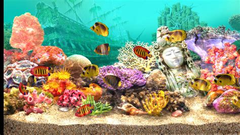 Free 3d Marine Aquarium Screensaver Pointsjuja