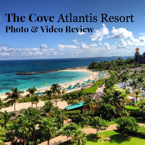 Insider Video And Photo Tour The Cove At Atlantis Review
