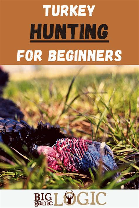 Turkey Hunting For Beginners