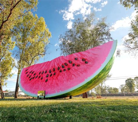 See Chinchillas New Big Watermelon 2gb