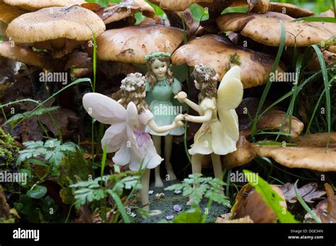 Fairies Hi Res Stock Photography And Images Alamy